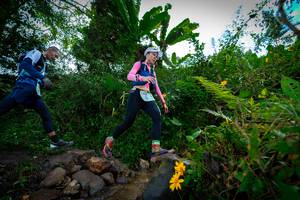 BIB: 1323, 148
                            <button type="button" onclick="openModal(15974601)" class="btn btn-primary btn-sm float-right btn-popup" data-toggle="modal" data-target=".modal-high-quality">
                        <i class="fas fa-shopping-cart"></i> Add to Cart
                    </button>
                                            <button type="button" onclick="isThisMe(15974601, true)" class="btn btn-success btn-sm float-right btn-popup btn-isme hidden" data-toggle="tooltip" data-placement="bottom" title="นี่คือรูปของคุณใช่ไหม คลิกที่นี่เพื่อเอาเข้าอัลบั้ม">
                        <i class="fas fa-plus"></i> Add to album
                    </button>
                    <button type="button" onclick="isThisMe(15974601, false)" class="btn btn-warning btn-sm float-right btn-popup btn-isnotme hidden">
                        <i class="fas fa-ban"></i> Remove from album
                    </button>